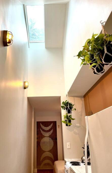Have The Best Place In 내슈빌 외부 사진